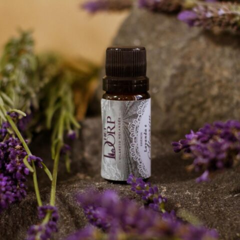 Essência para difusor de lavanda e alecrim