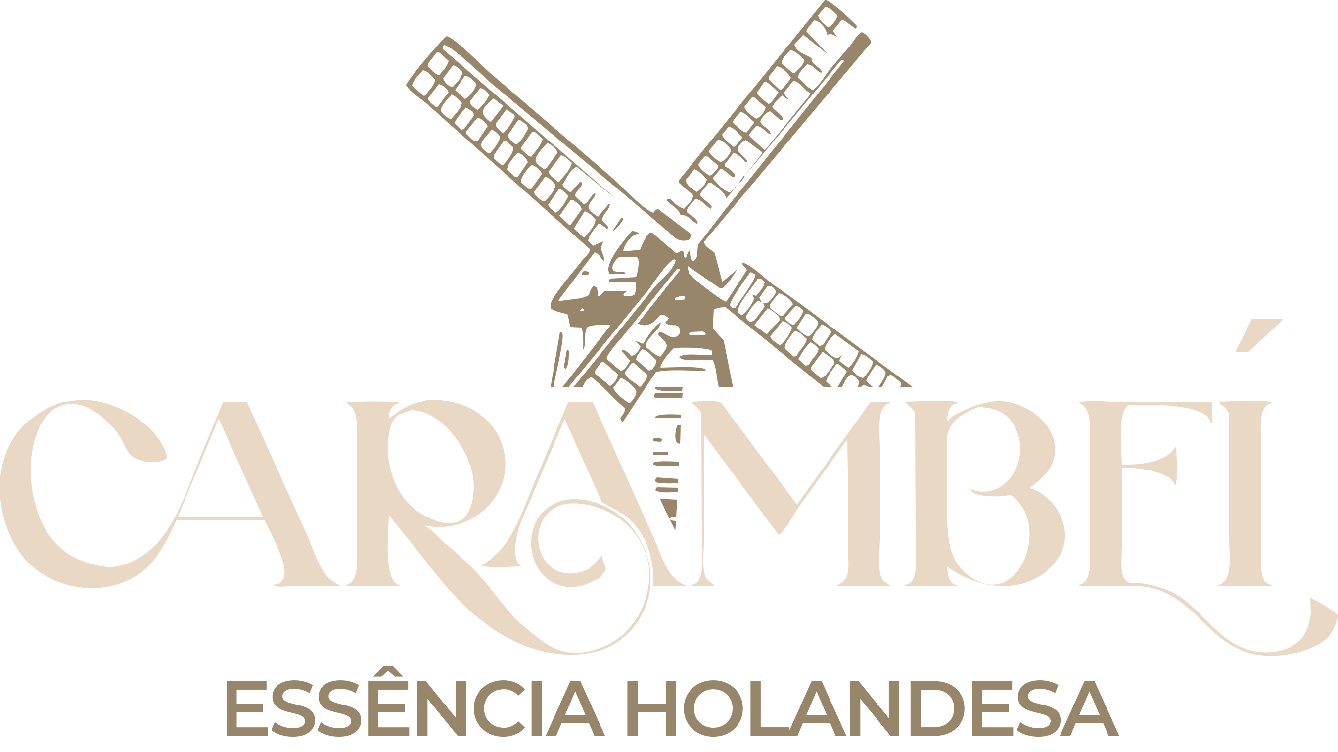 logo-bonita-vinho-vetorizada-variacao